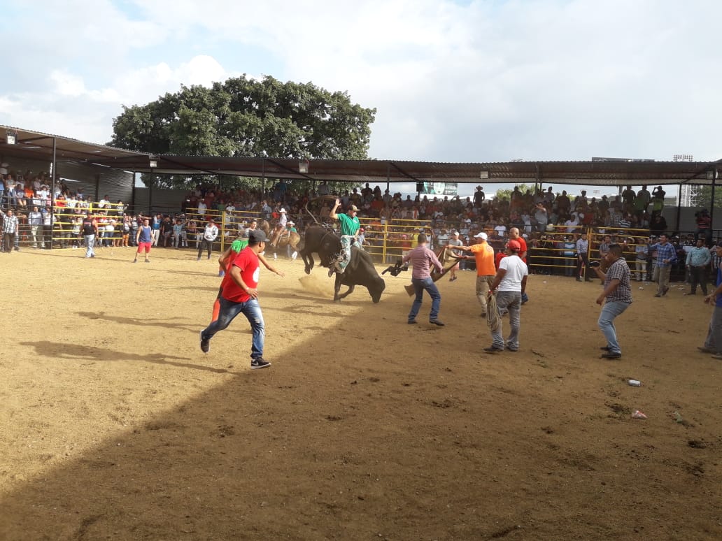 Toros2